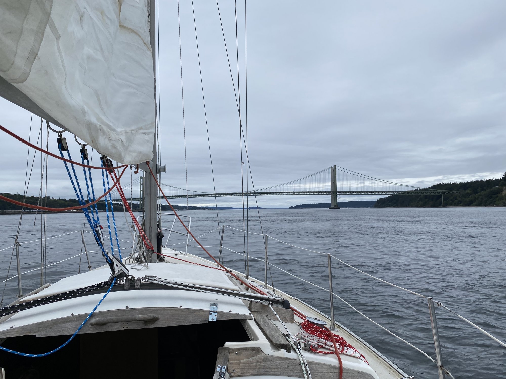 A4965436-8E6A-41FF-ADC7-A7ED5D1582FF.jpeg