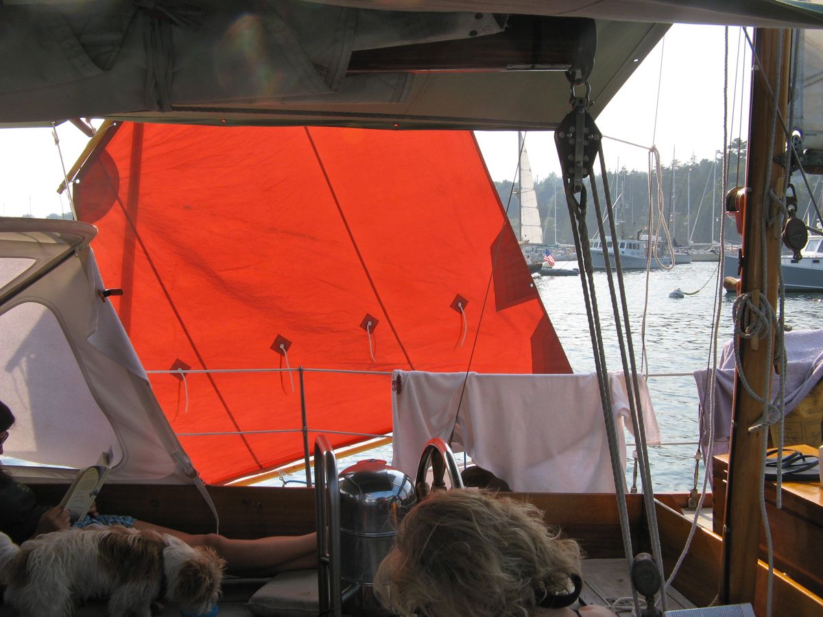 Afternoon shade .jpg