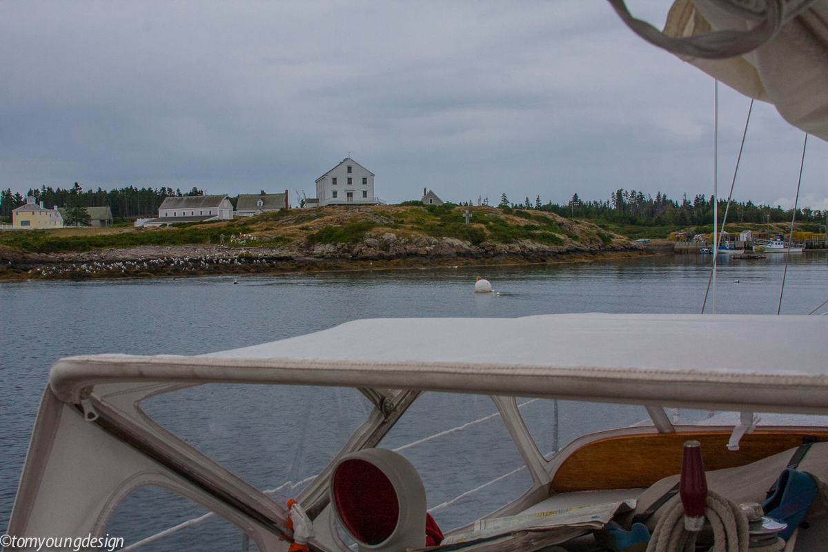 Allen's Island from water.jpg