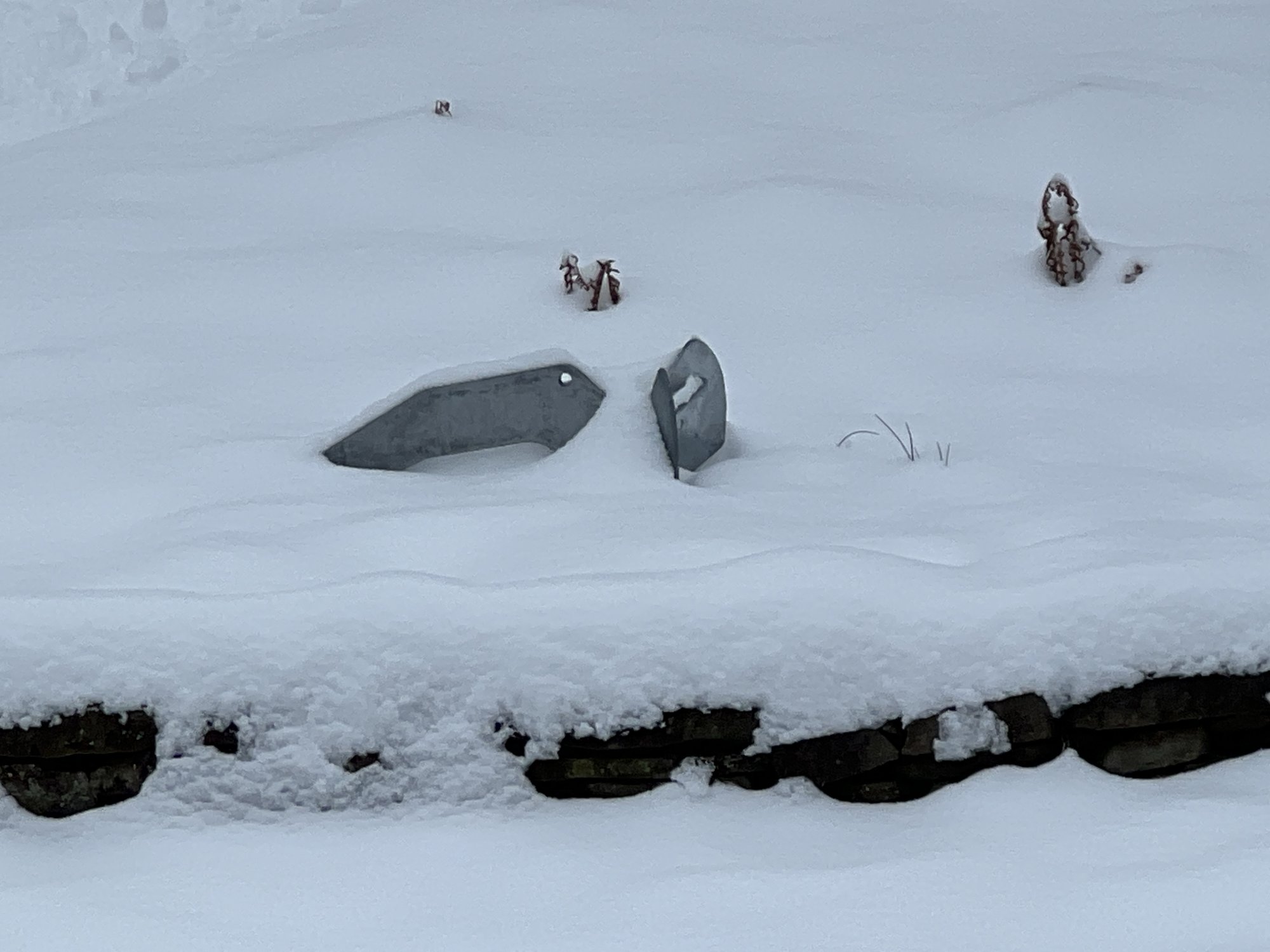 anchor snow1.jpeg