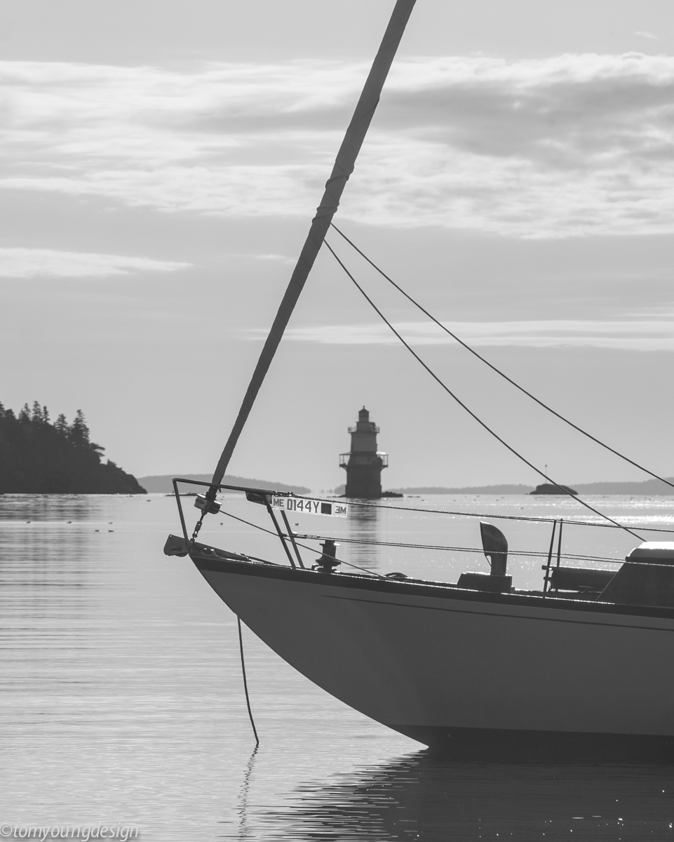 Anchored lightly.jpg