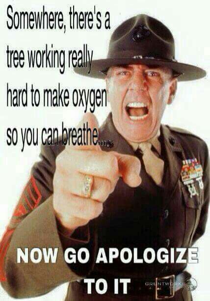 apologize.jpg