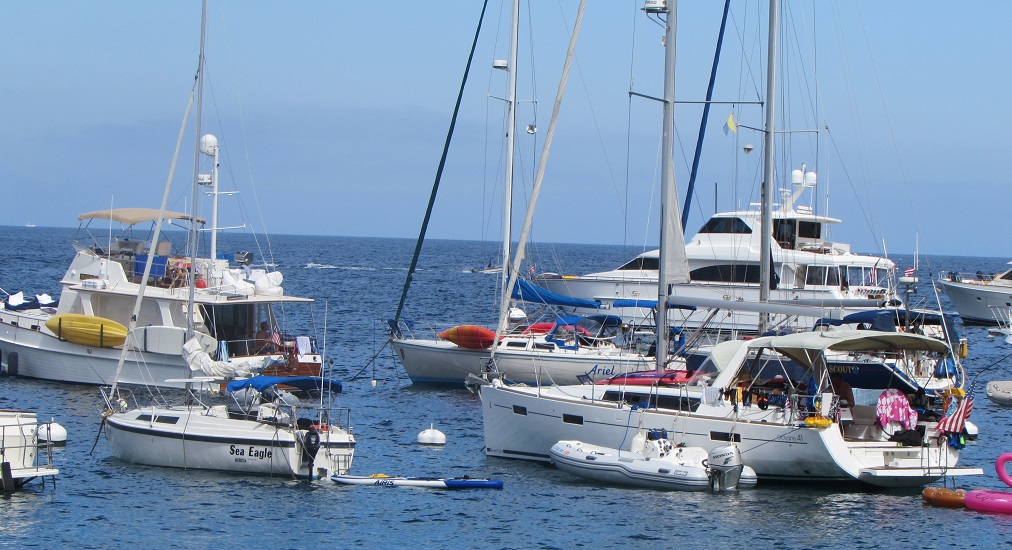 avalonsail2.jpg