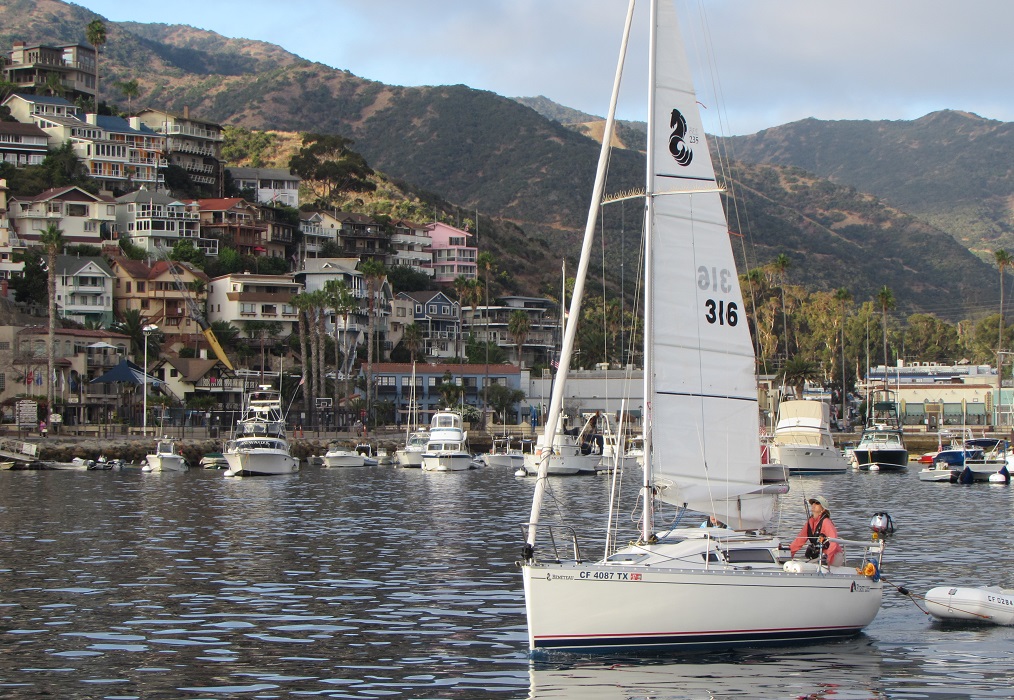 avalonsail5.jpg