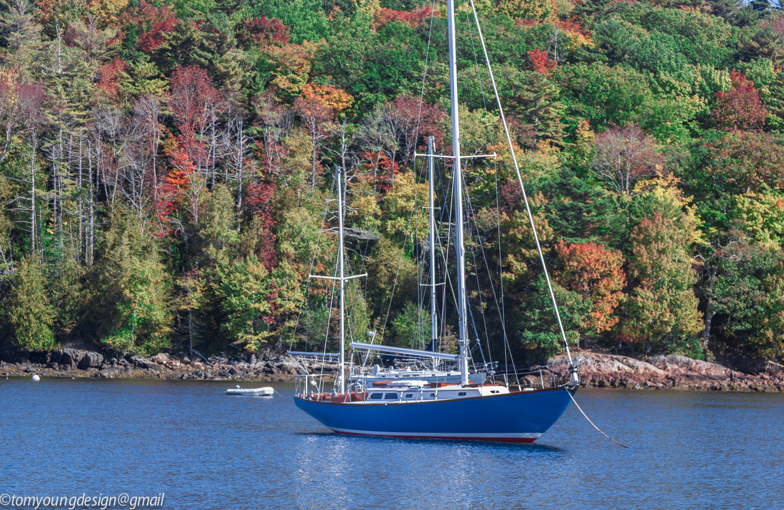 B40 foliage crop final.jpg