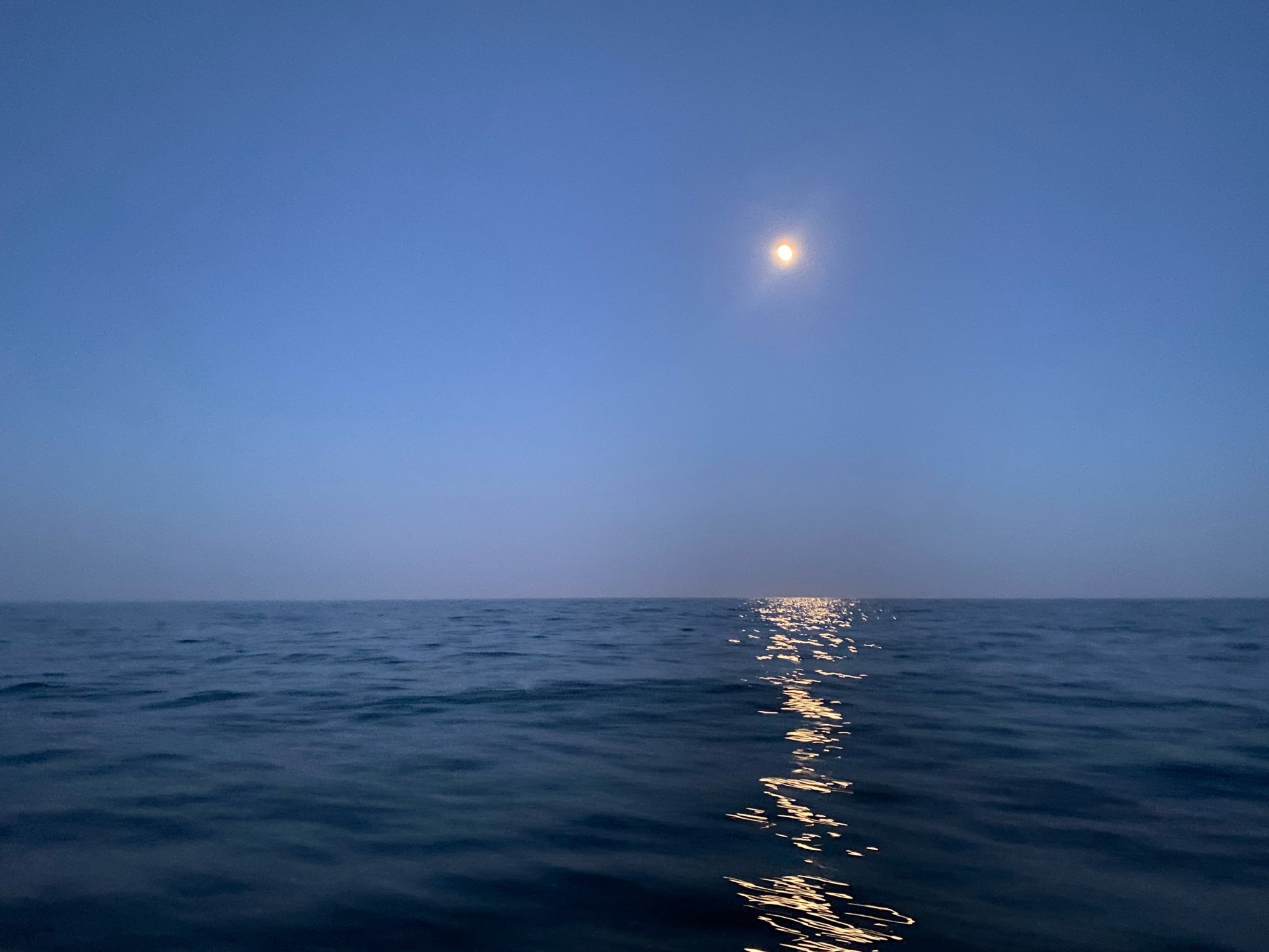 B6AF9471-2281-4B0E-B614-D41B6988BA66.jpeg
