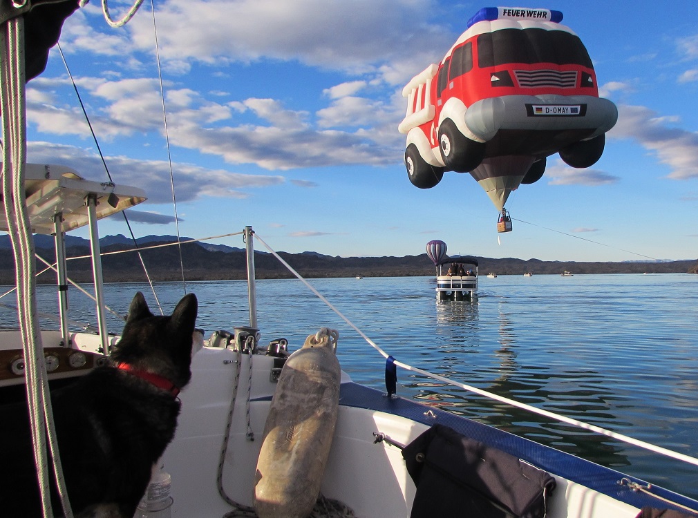balloon_dog2.jpg