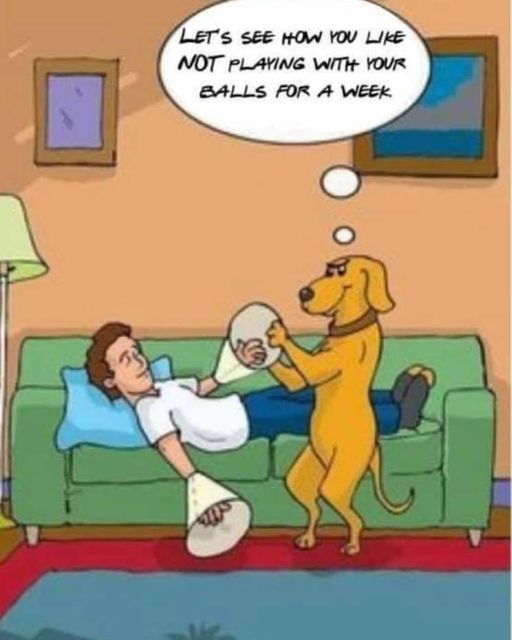balls.jpg