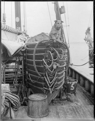 Banks dory and dog.jpg