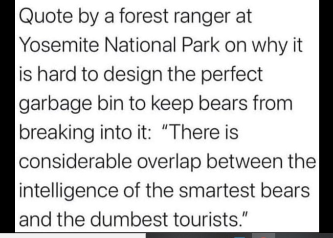 bear_garbage.jpg