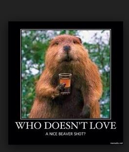 BeaverShot.JPG