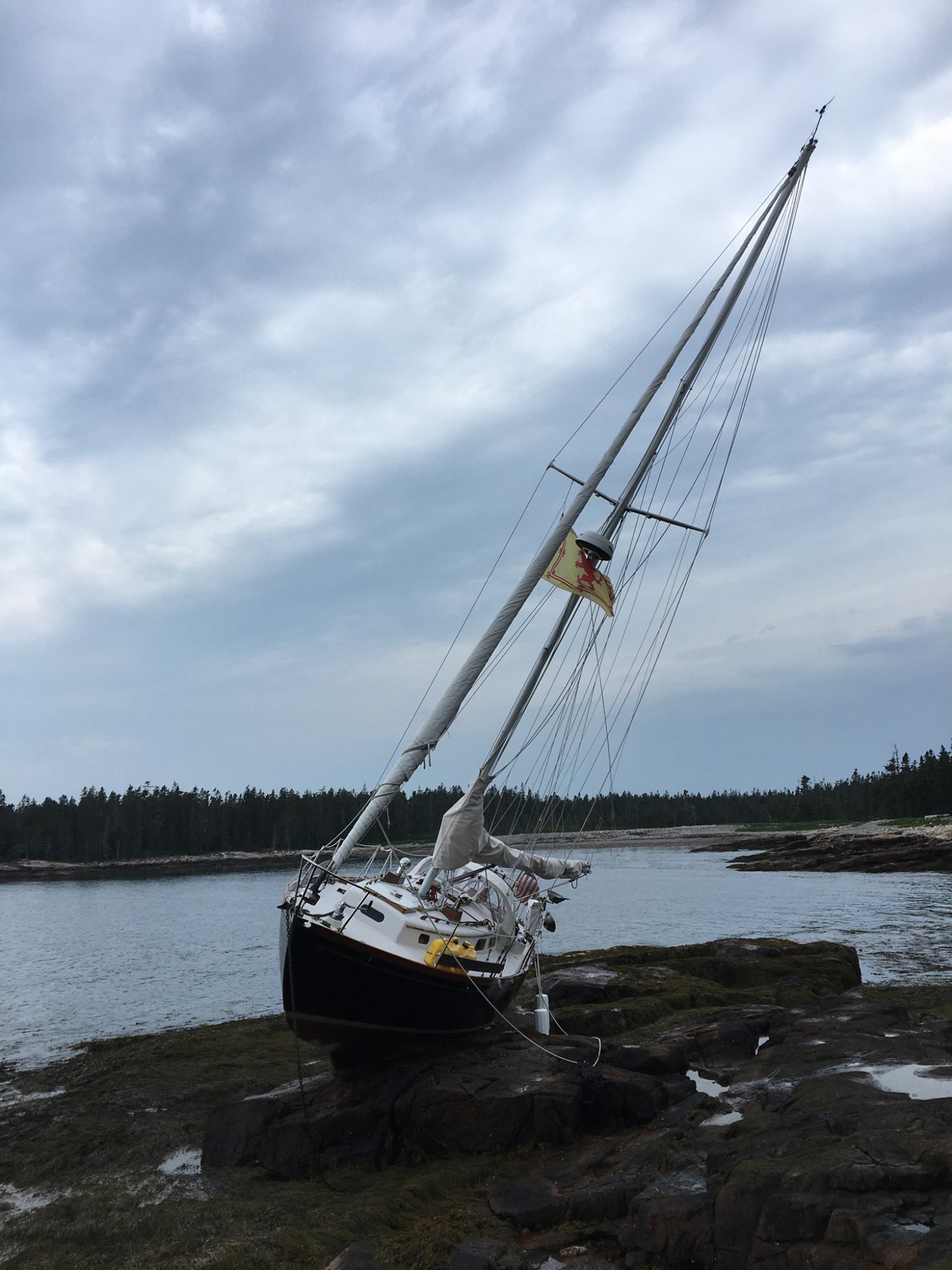 Bennet Cove MDI July 2019 .jpg