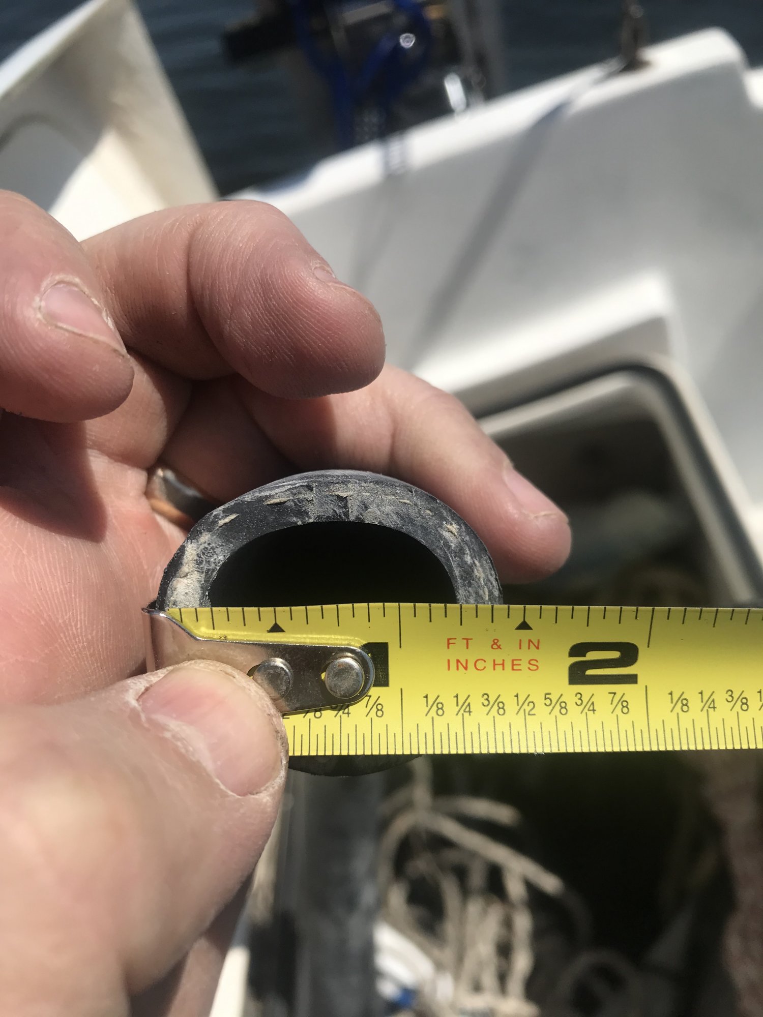Bilge Hose.jpg