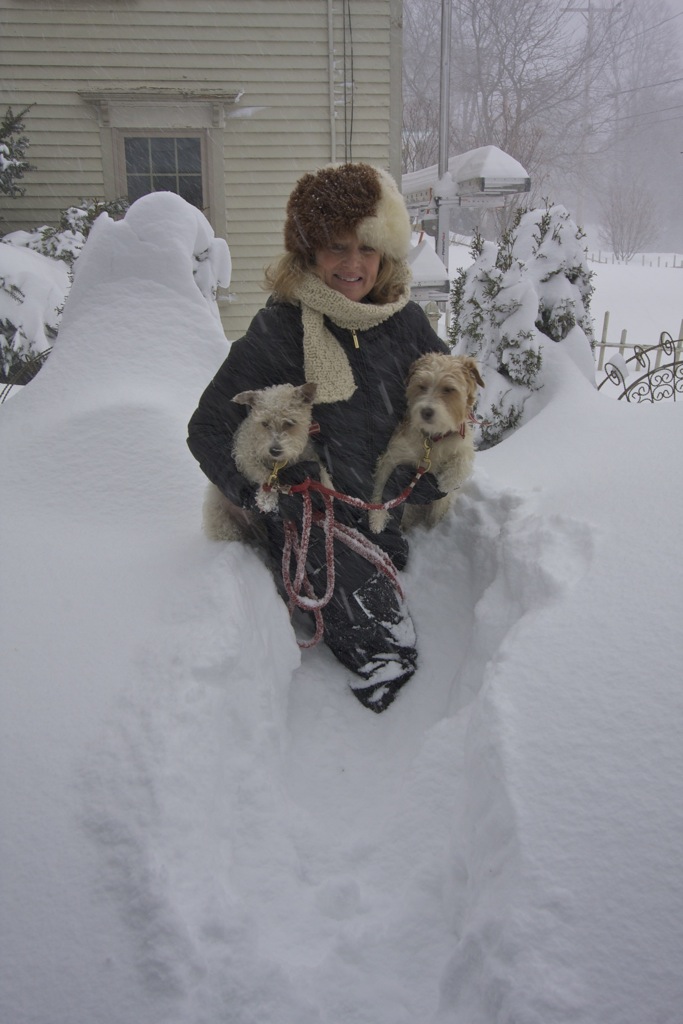 Blizzard 2:9:13 Walking dogs vertical.jpg