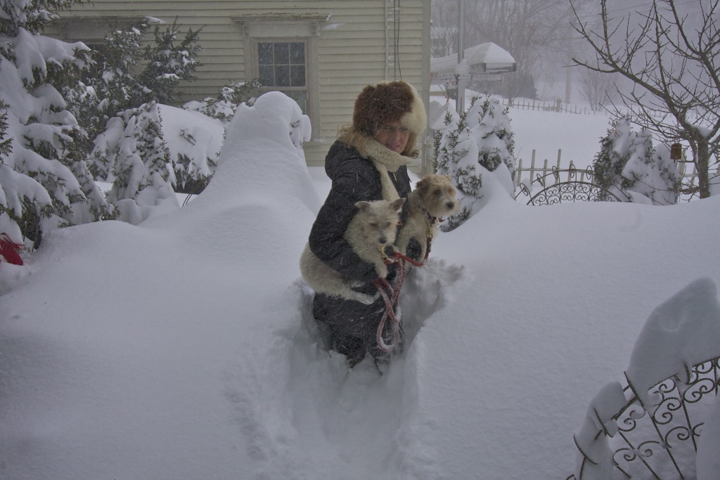 Blizzard 2:9:13 walking the dogs.jpg