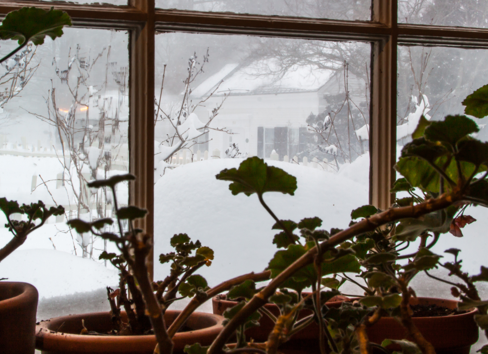 Blizzard 2017 (1 of 1).jpg