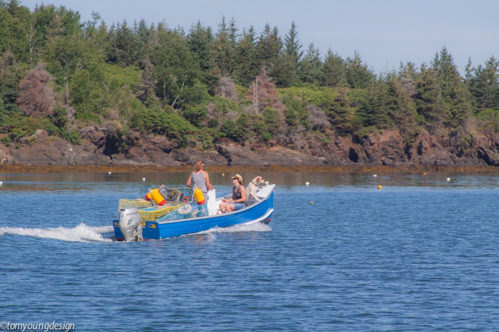 Bluebird Pulpit Harbor heading out.jpg
