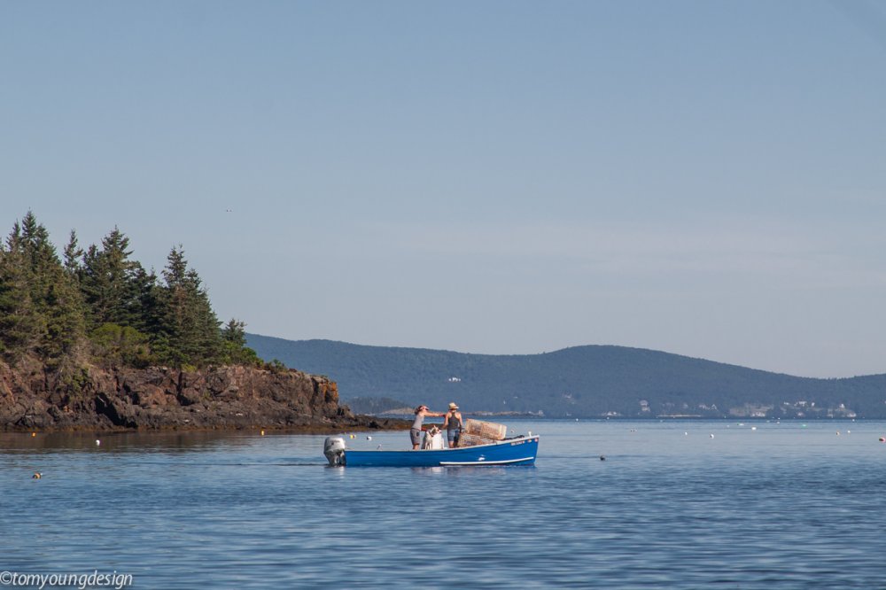 Bluebird Pulpit Harbor setting traps 2.jpg