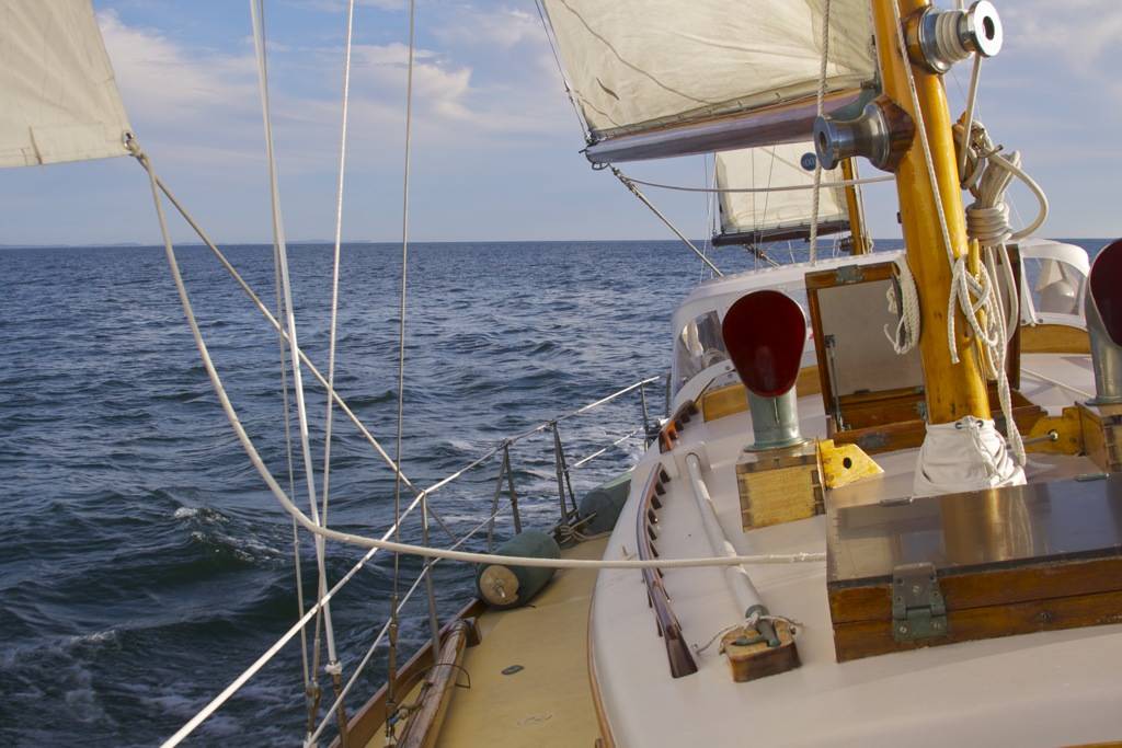 Boat hook 2.jpg