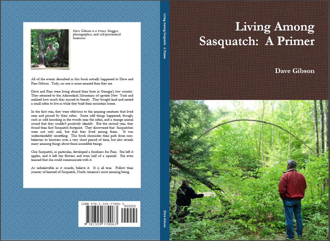 BookCover.jpg