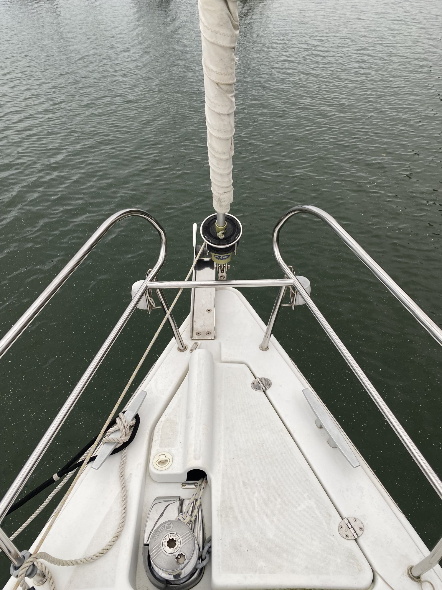Bow.jpg