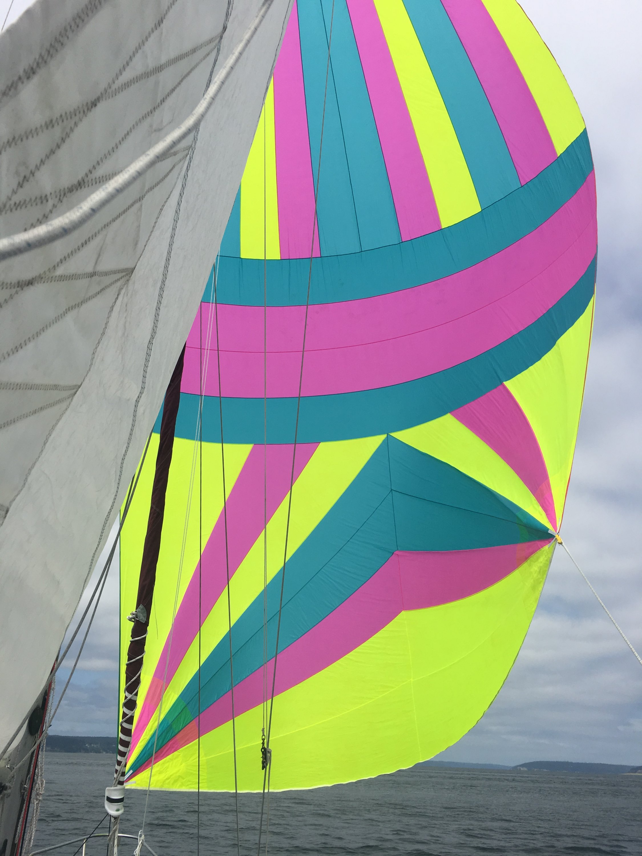 C3F31206-844F-40D4-80F4-15BE89488B91.jpeg