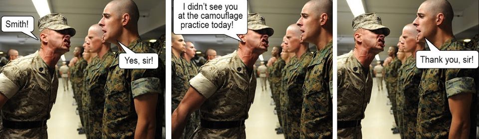 Camo.jpg