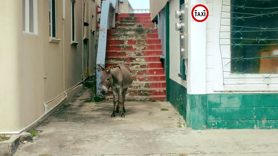 carriacou taxi stand sm.jpg