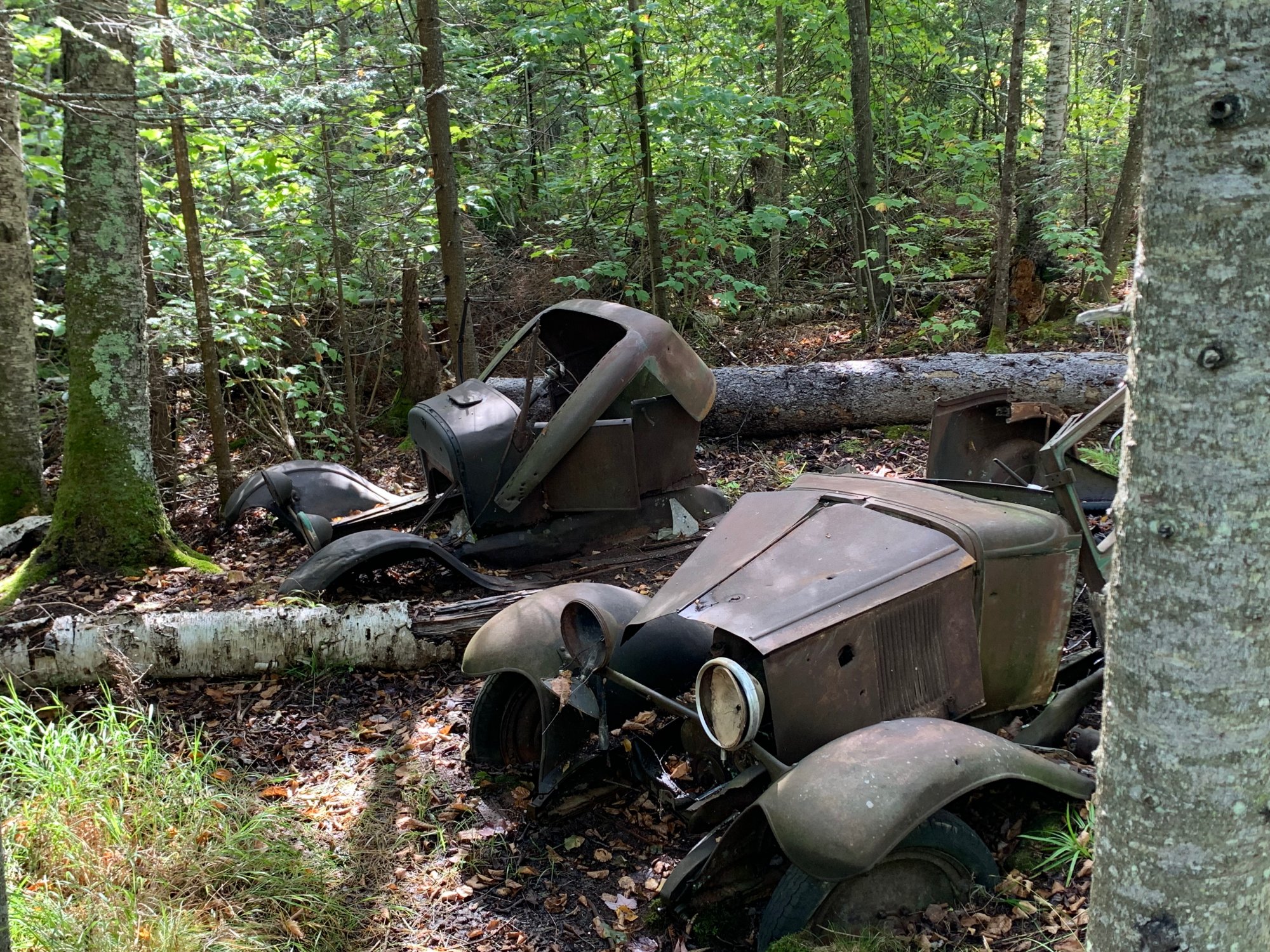 cars_sand_island.jpeg
