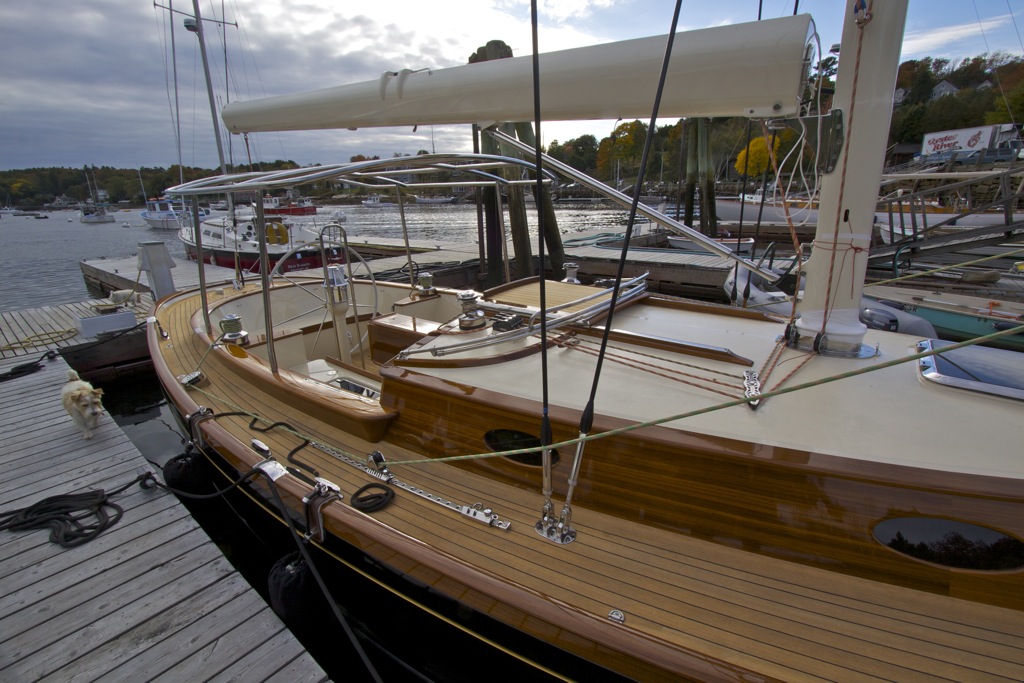 CARY ALI BIMINI.jpg