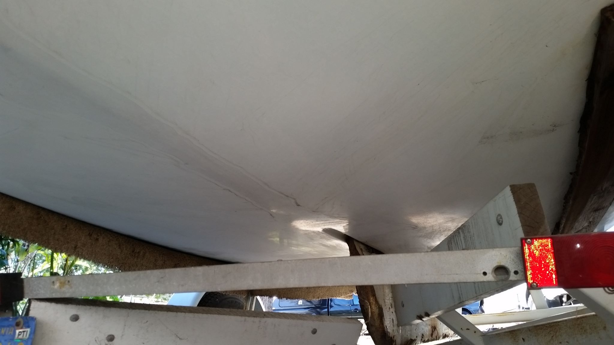 cat22-bottom.jpg