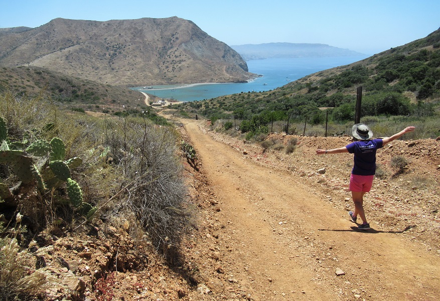 catalina14.jpg