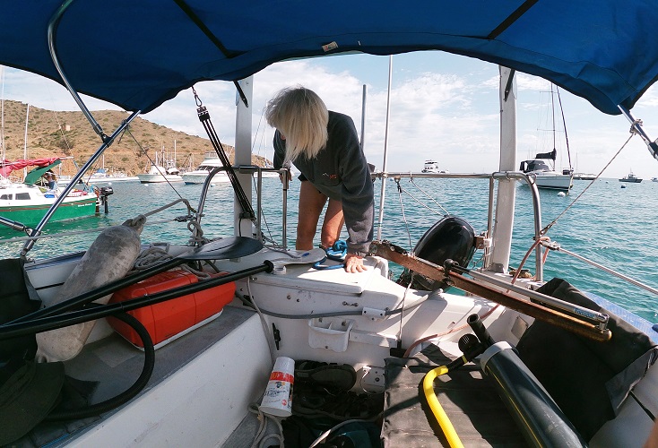 catalina43.jpg