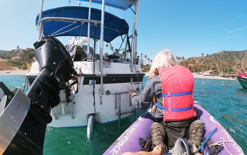 catalina44.jpg