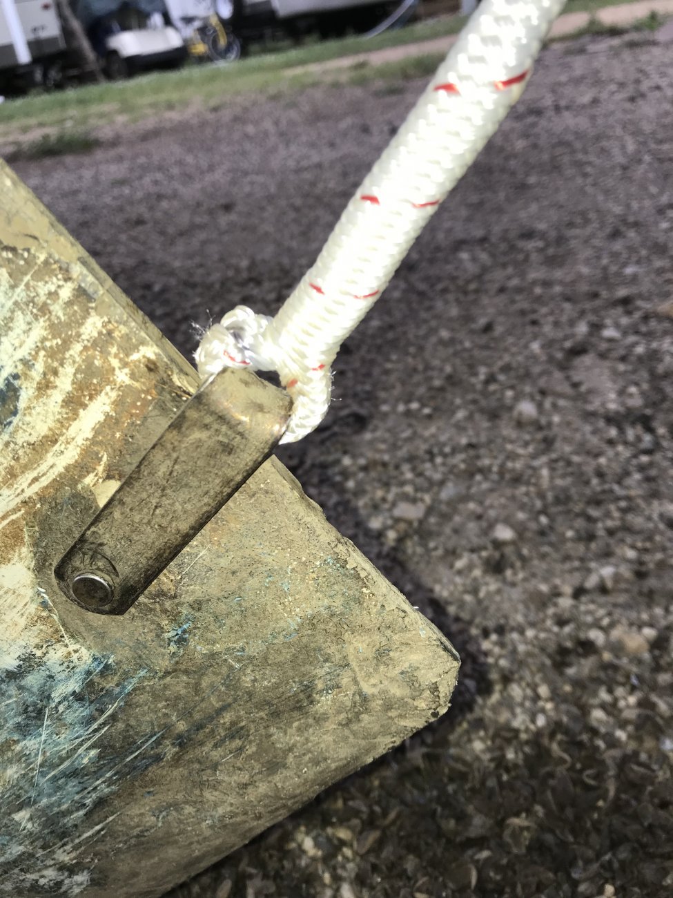 Centerboard Zebra Mussels (6).jpg