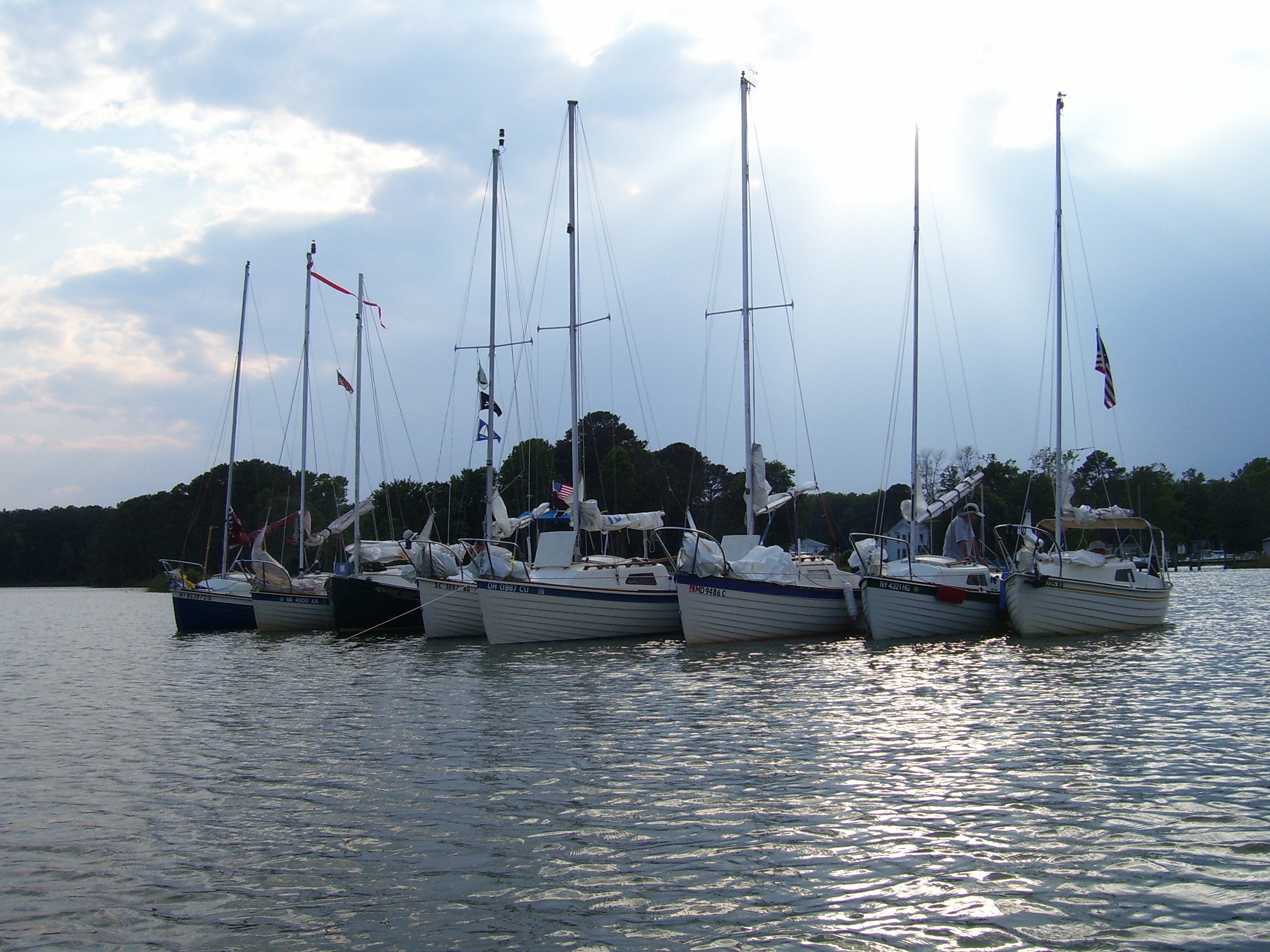 ChesBay2006-055.jpg