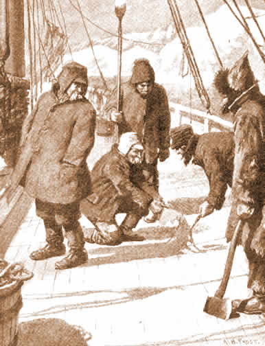 cold2.jpg