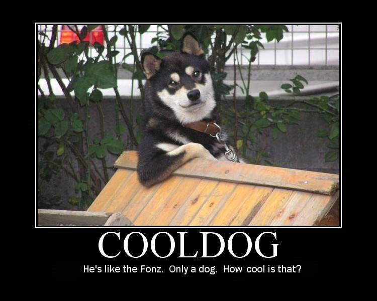 coolDog.png