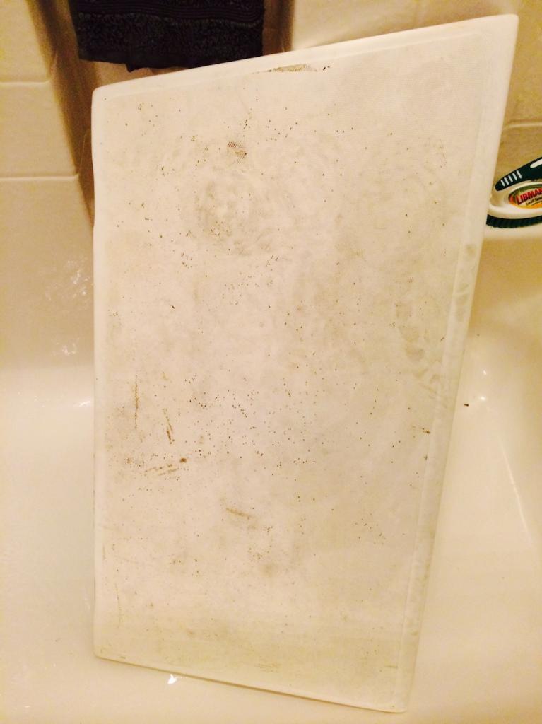 Copit Hatch before cleaning.jpg
