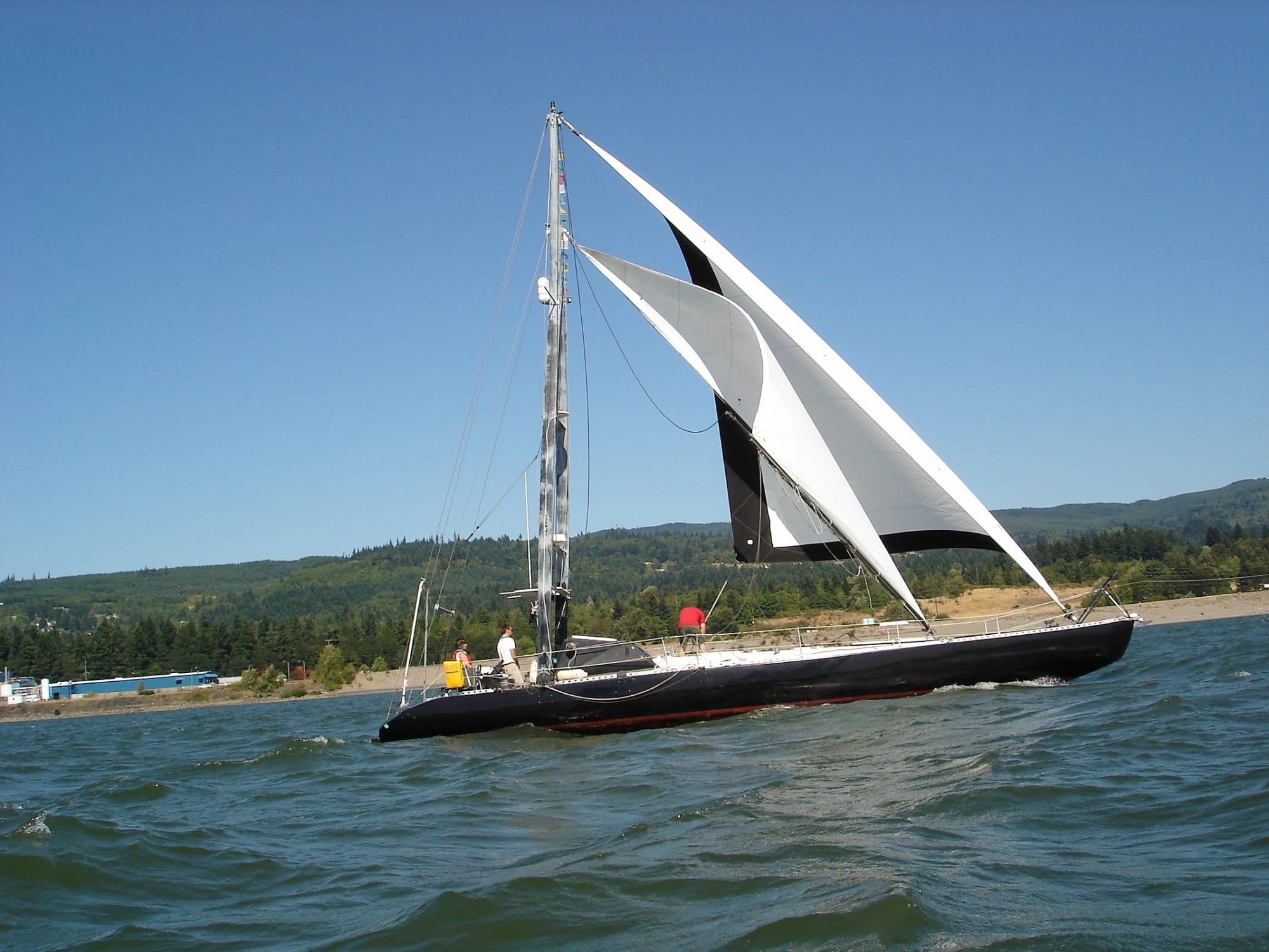 Copy of ORCAshotsfromallaround 809.jpg