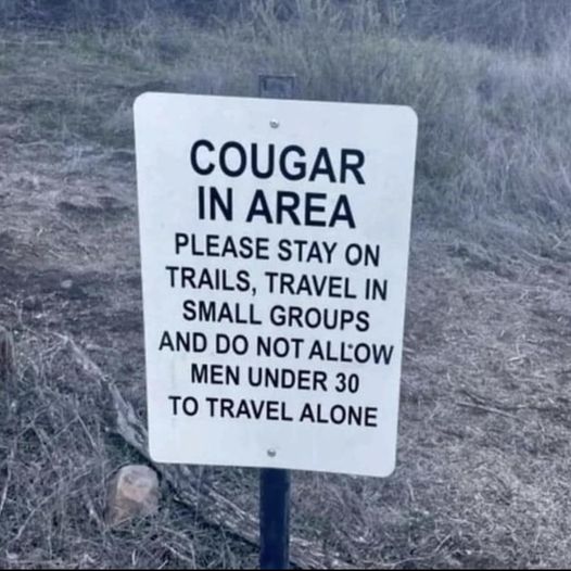 cougar.jpg