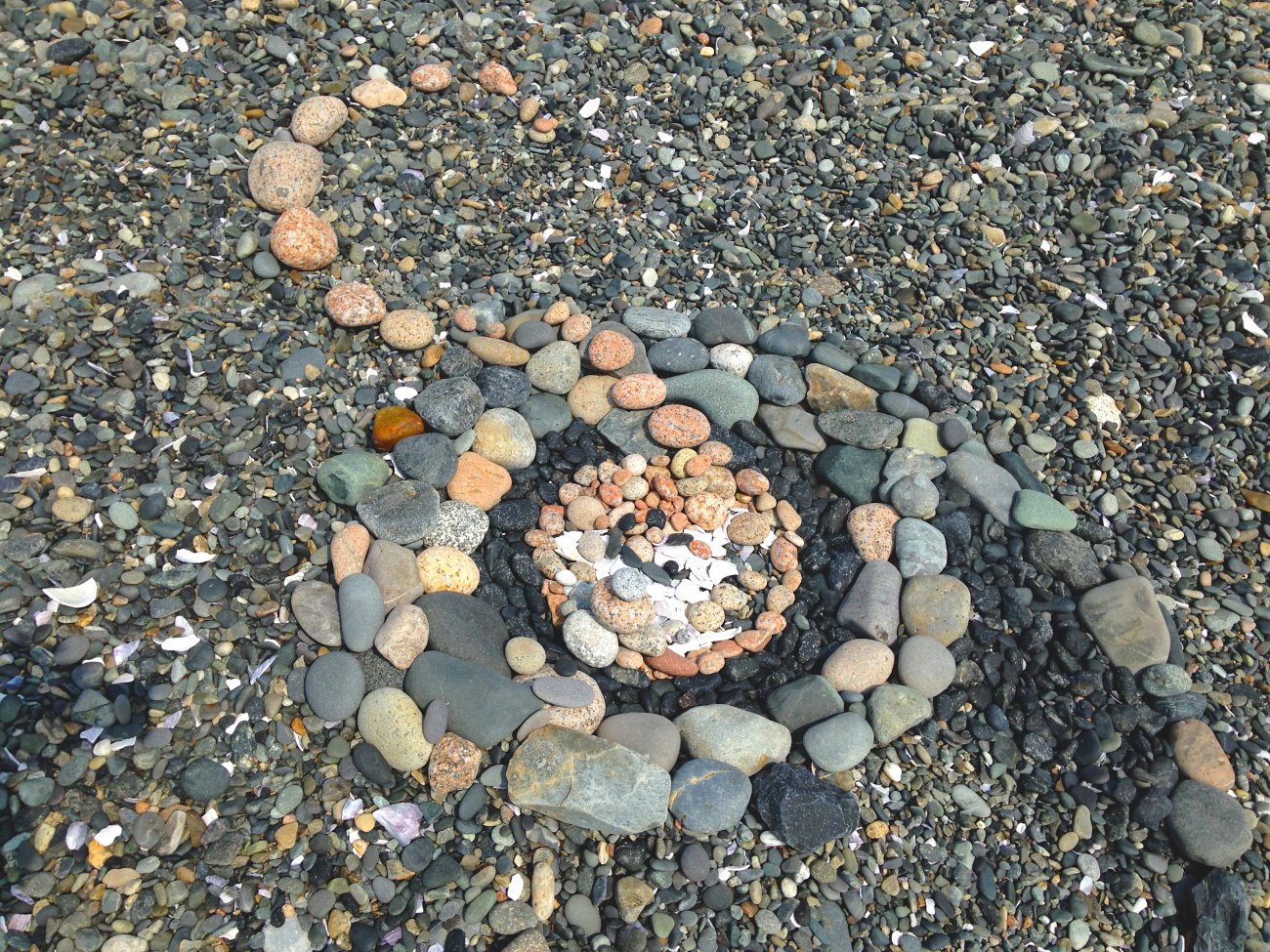 Cranberries pebble art.JPG