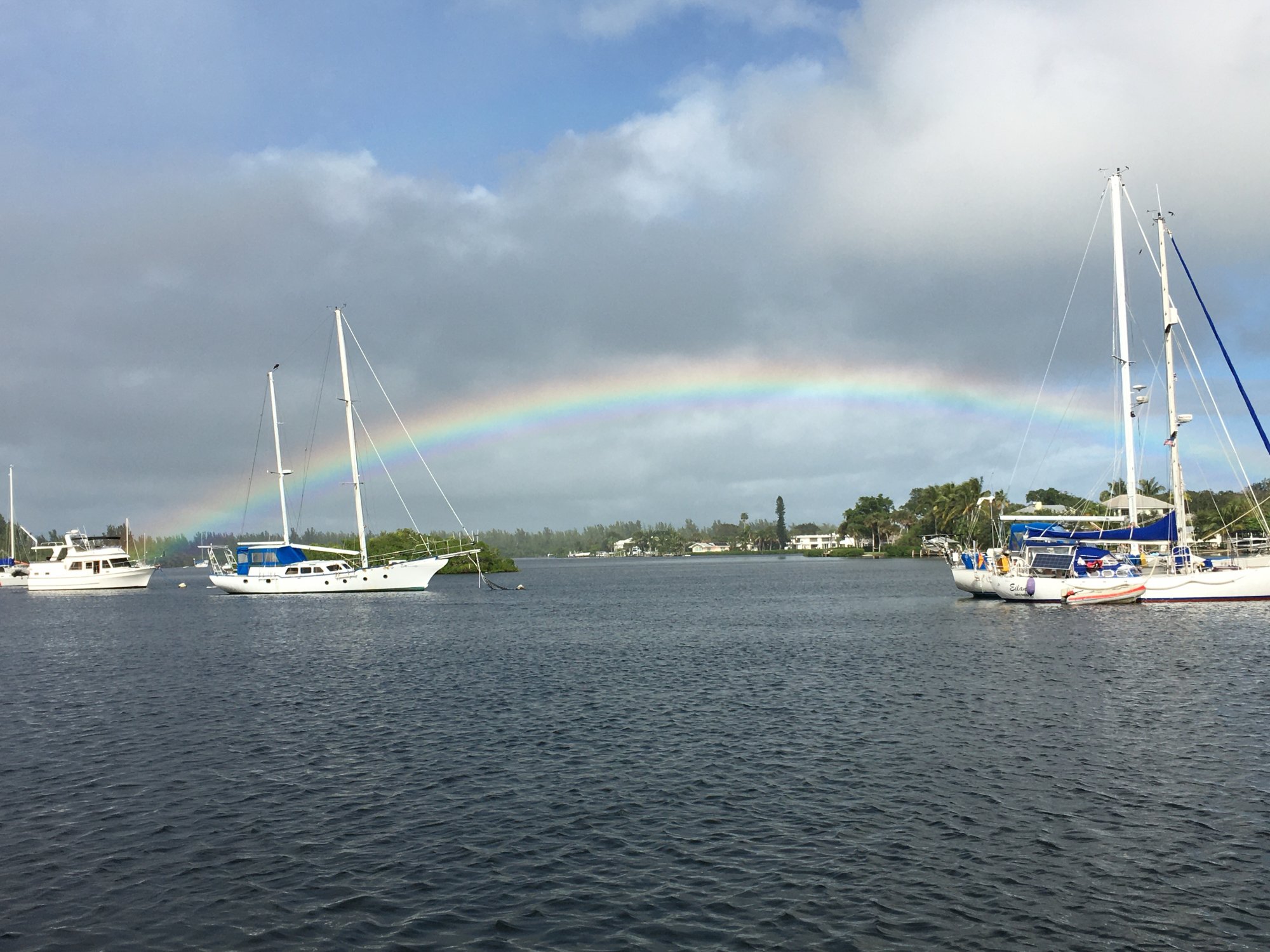 D033F633-AE43-440D-A749-4D622DAB6755.jpeg