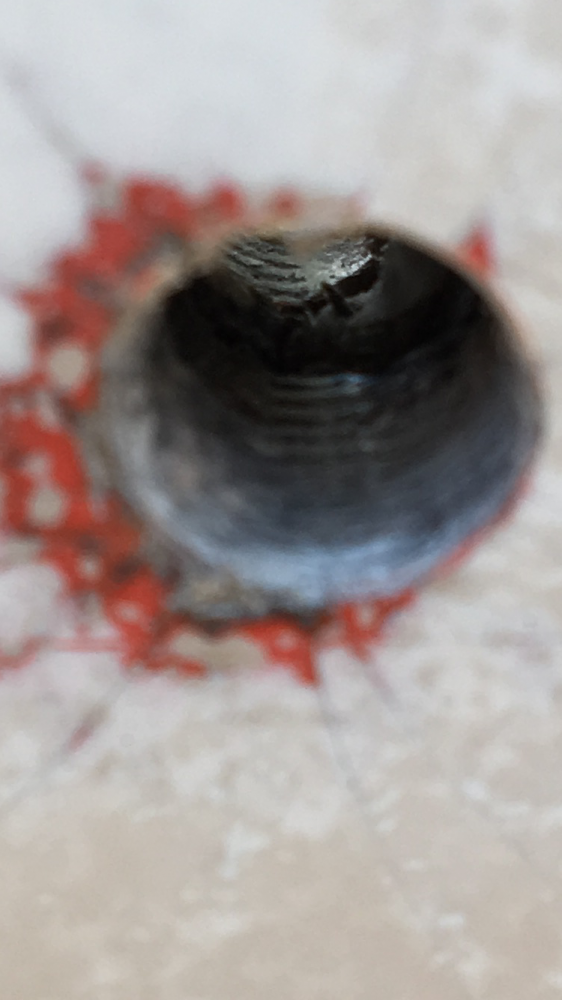 D083A707-AA38-451D-A1C1-09D881CF9FD3.png