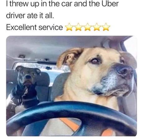 dog2.jpg