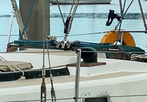 dorade.jpg