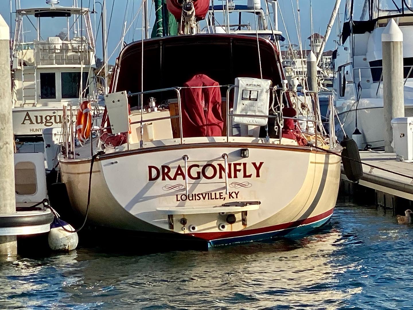 Dragonfly Renaming.JPG