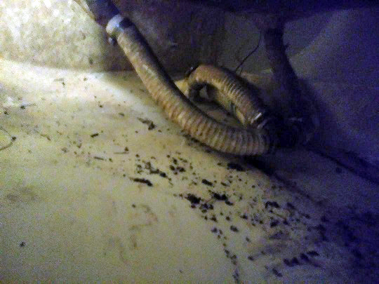 drain.jpg