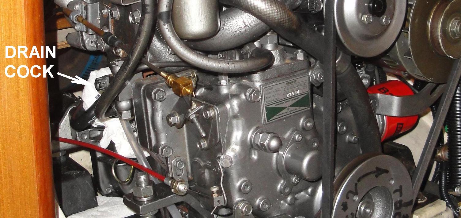 Drain Plug.JPG