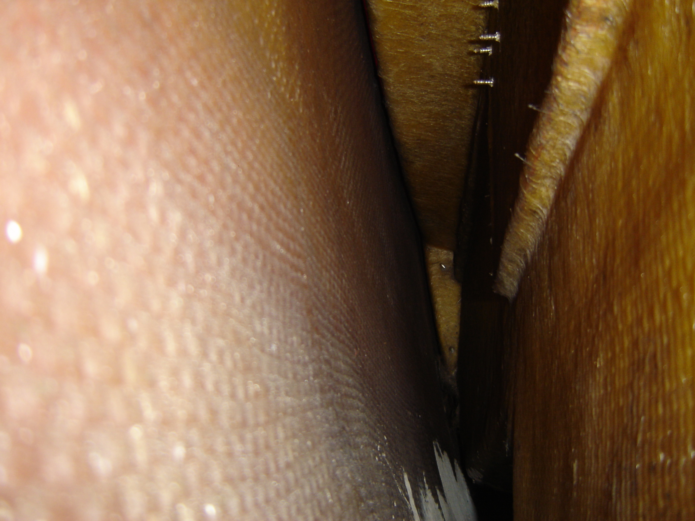 DSC00051.JPG